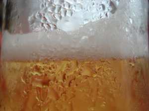 Close up of lager in a glass